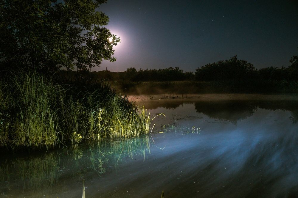 Фотография автора Сергей Александрович