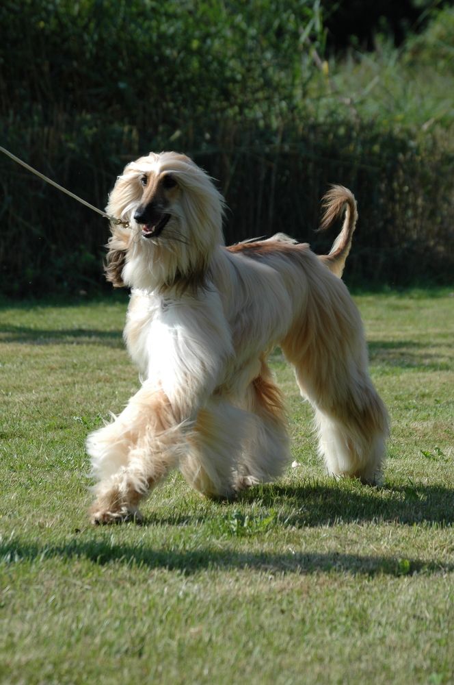 Photograph by Диана Ульянцева