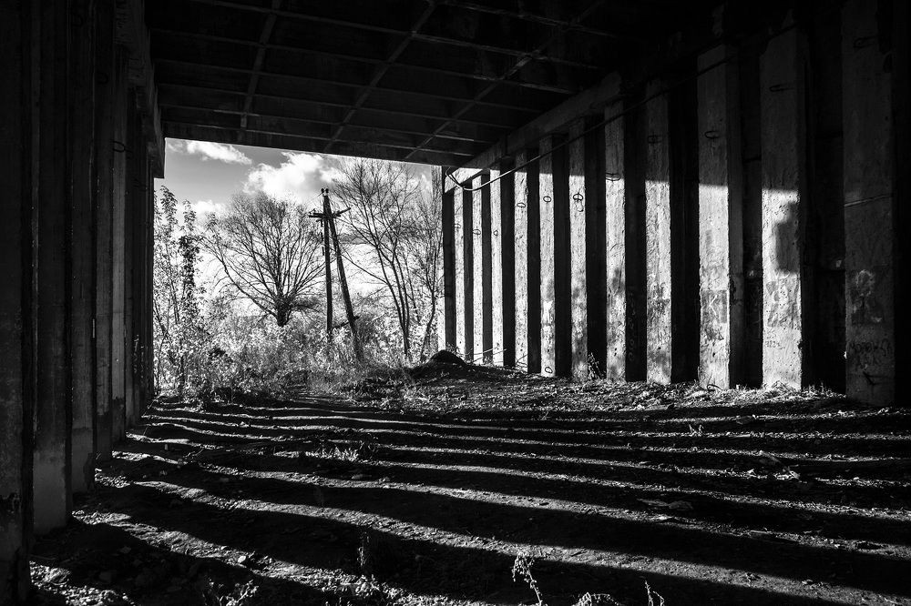 Фотография автора Андрей Рогов