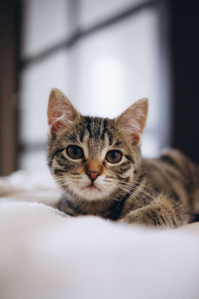 Photograph by Ольга Крукле