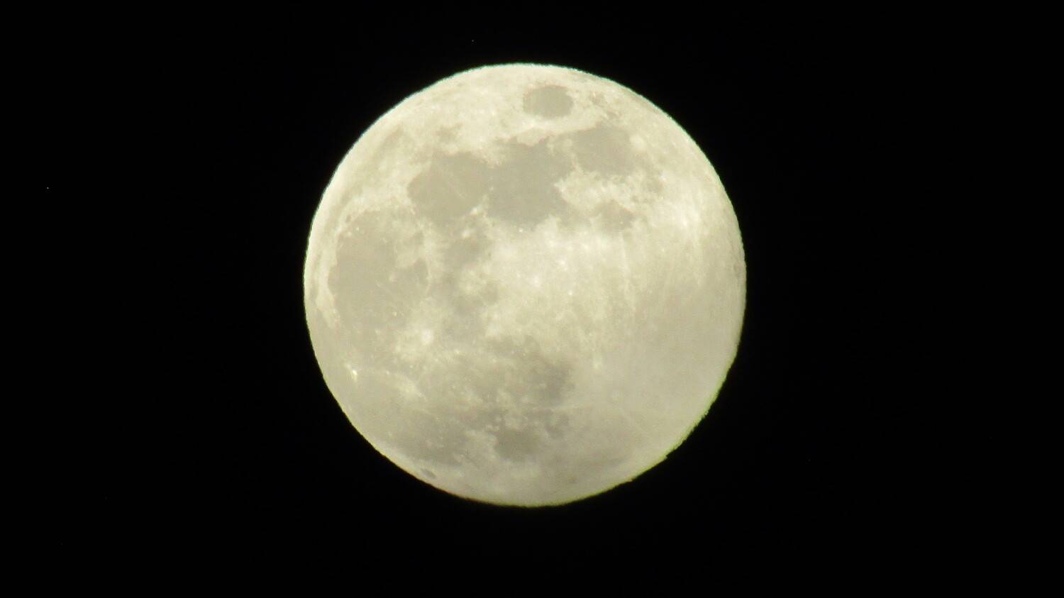 Photo #11650768