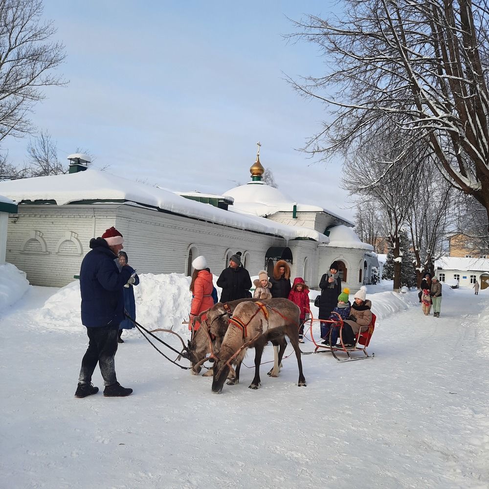 Катание на оленях в Новогодние и  праздники.