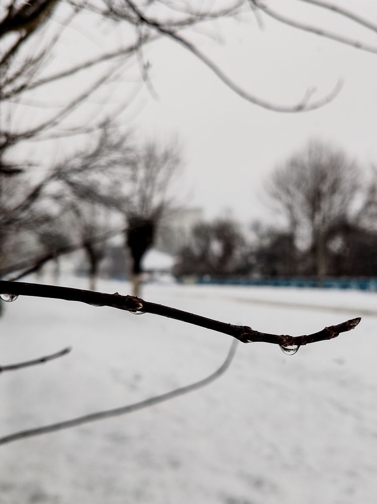 Фотография автора Любовь