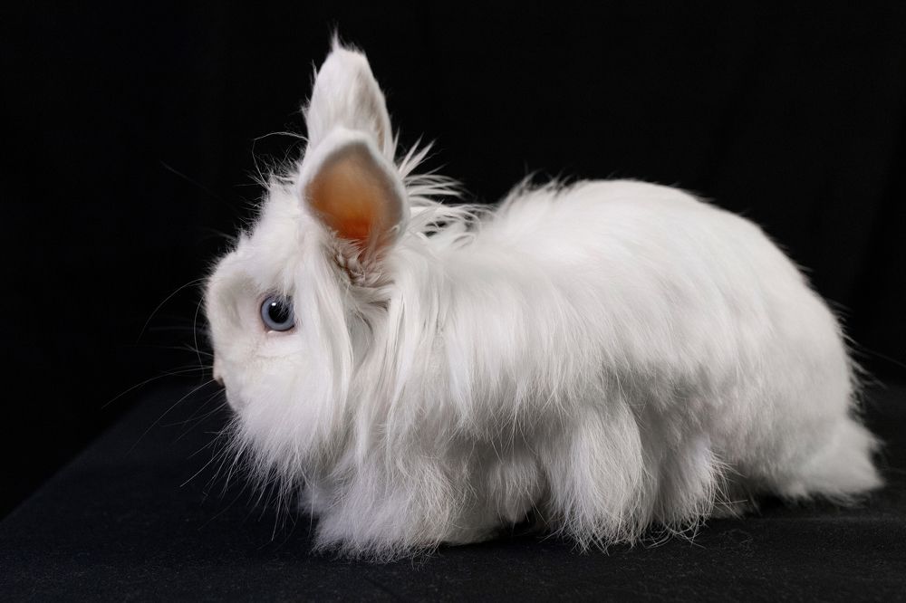 Photograph by Александр Добровольский