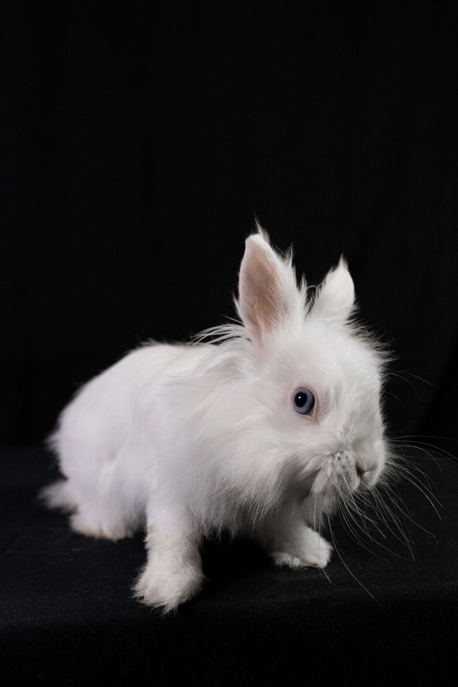 Photograph by Александр Добровольский