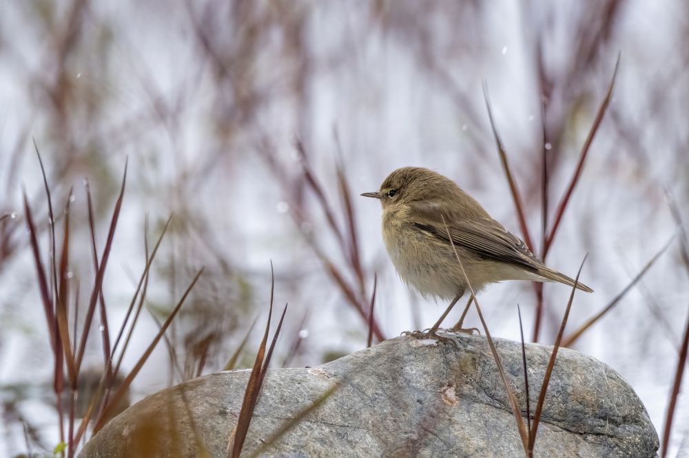 Photograph by Dimitris Vavliaras