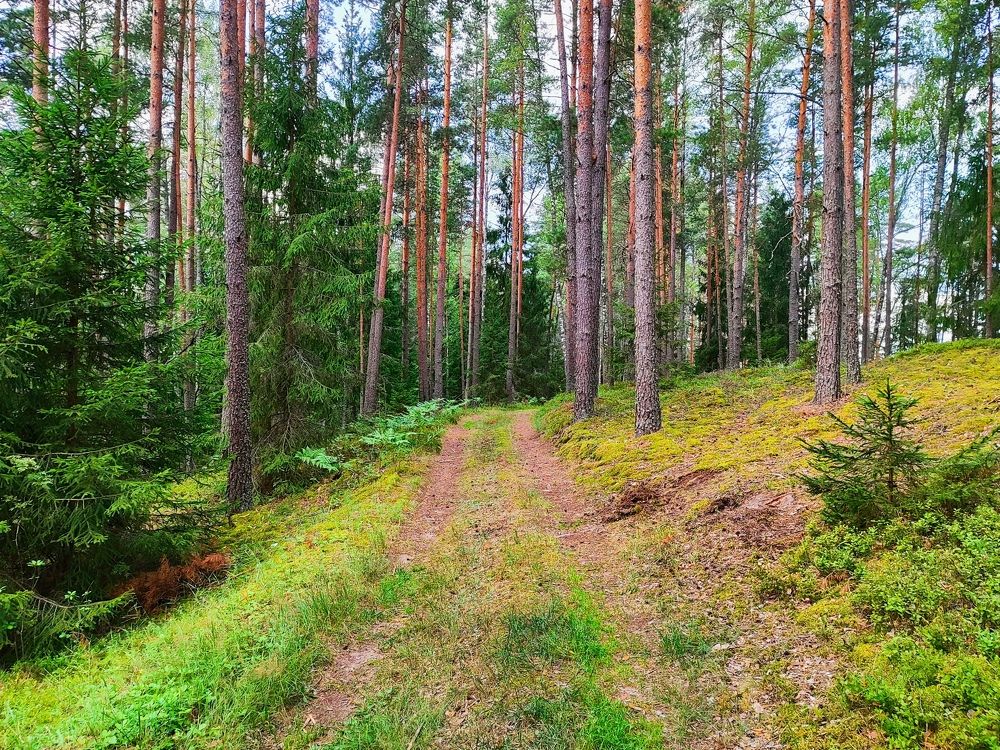 Photograph by Екатерина Борисовна Кузьмина