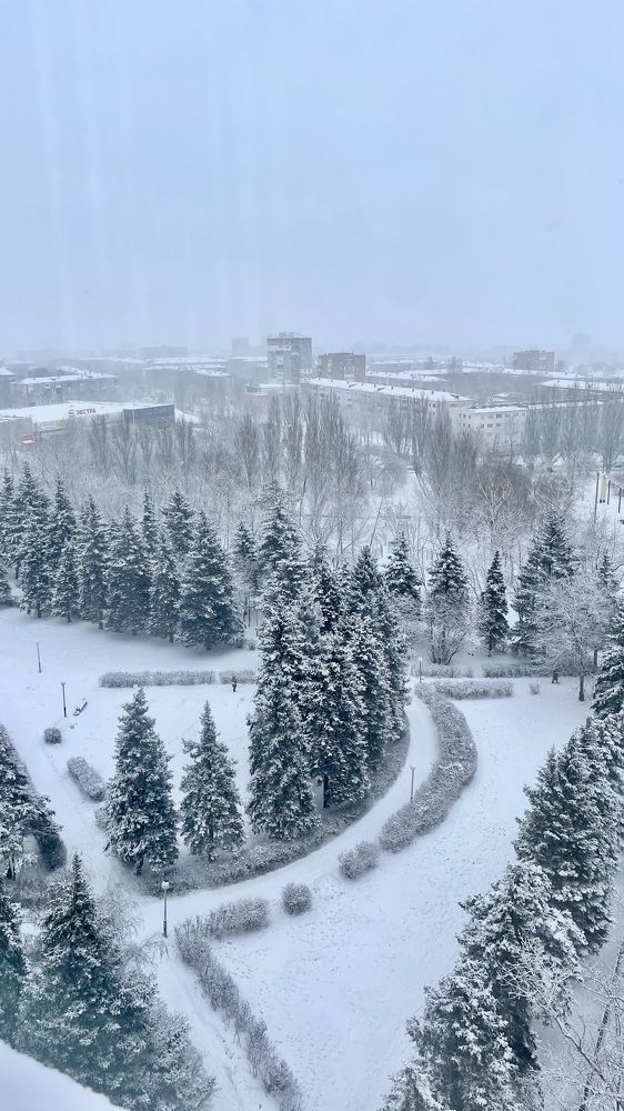 Фотография автора Дмитрий Соколов