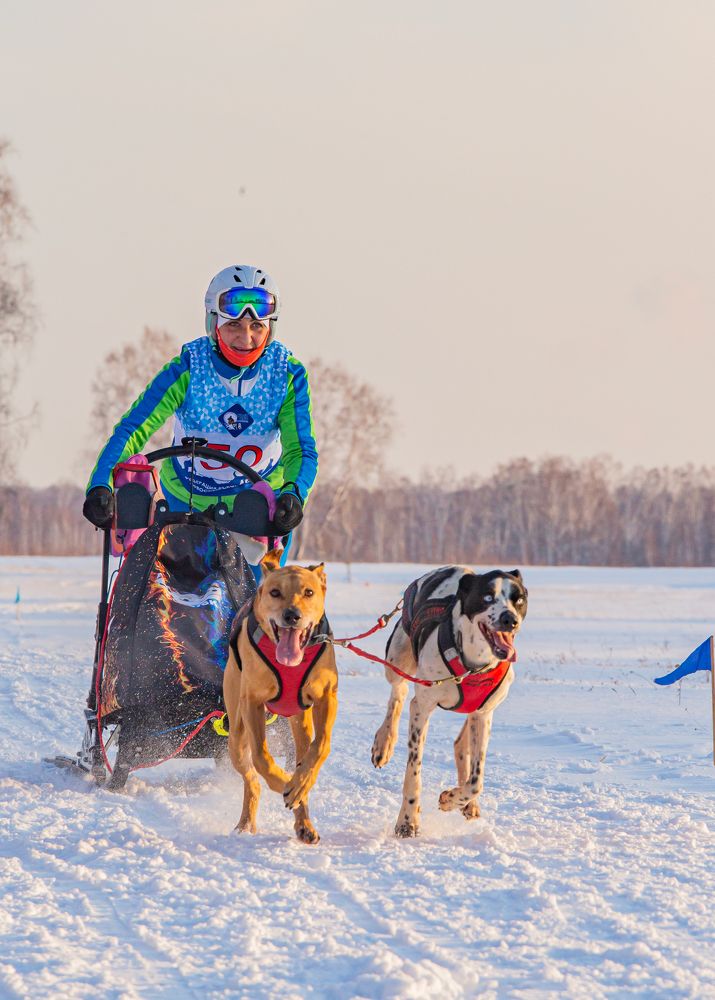 Photograph by Елена Павлова