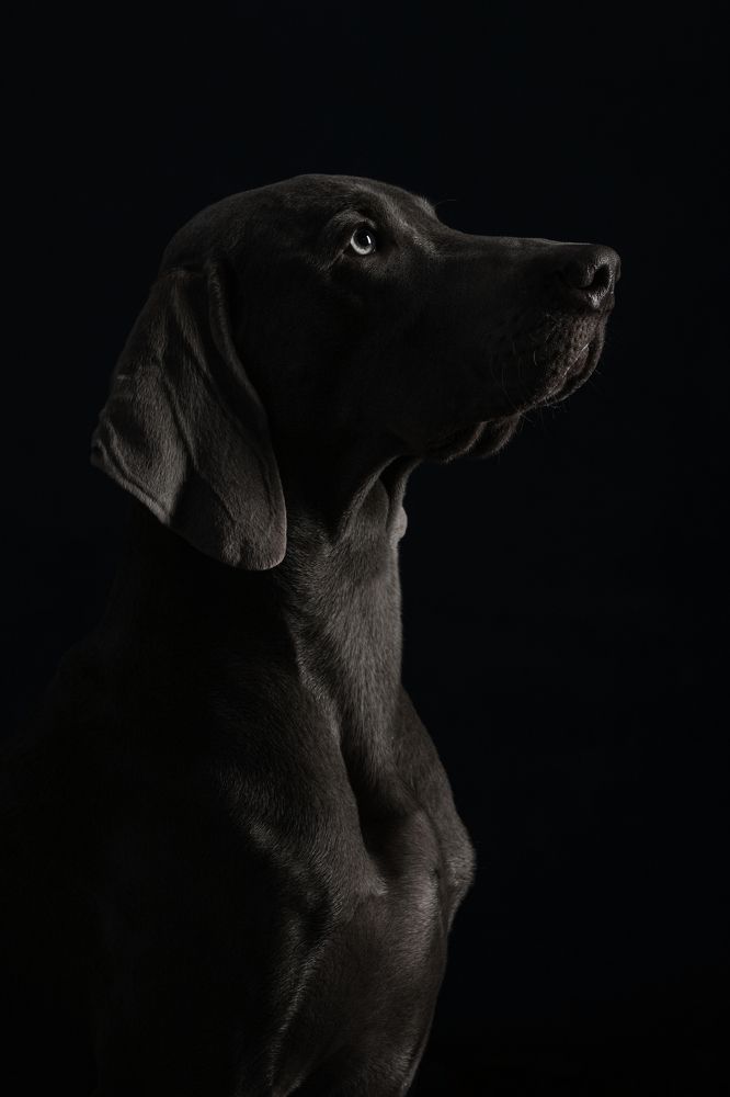 Фотография автора Зубкова Юлия