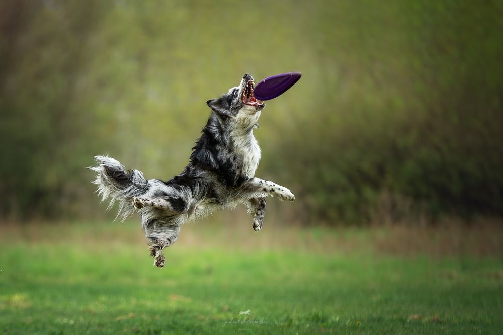 Photograph by Елизавета Романова