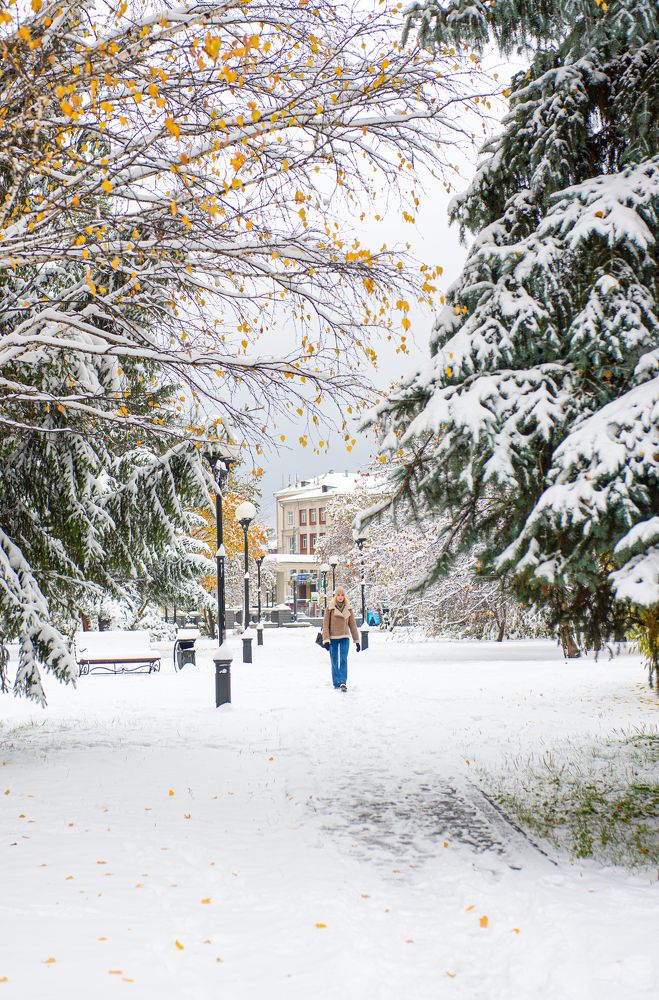 Photograph by Михаил Соколов