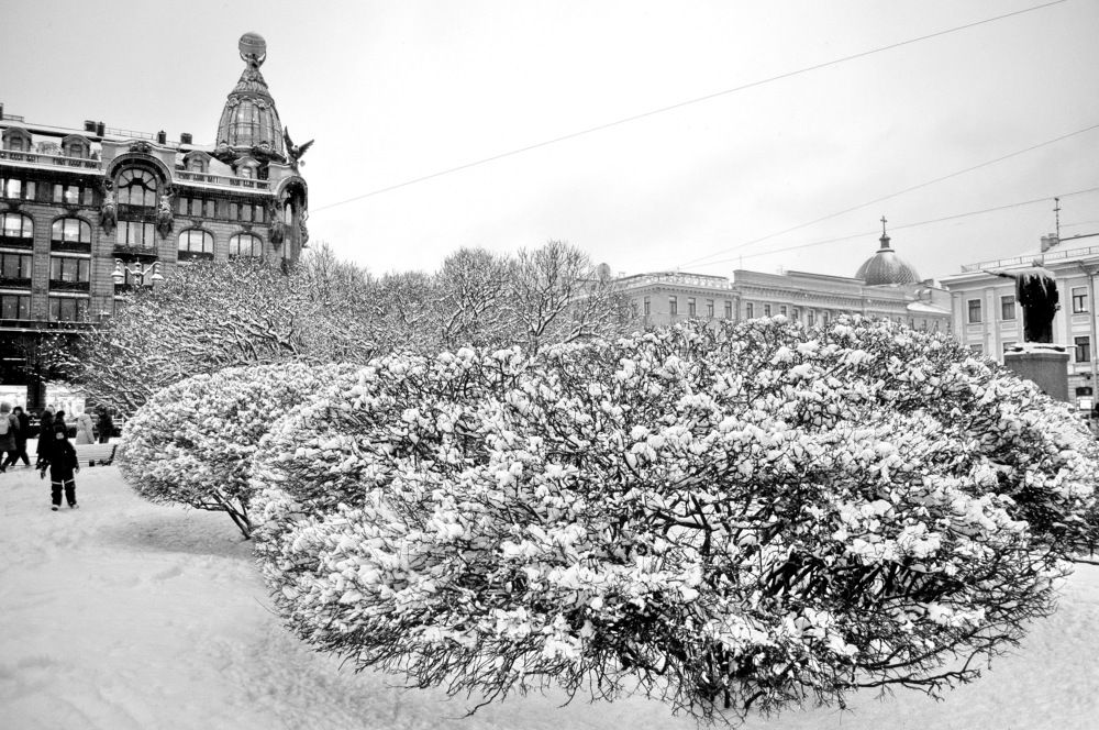 Снежный Питер.