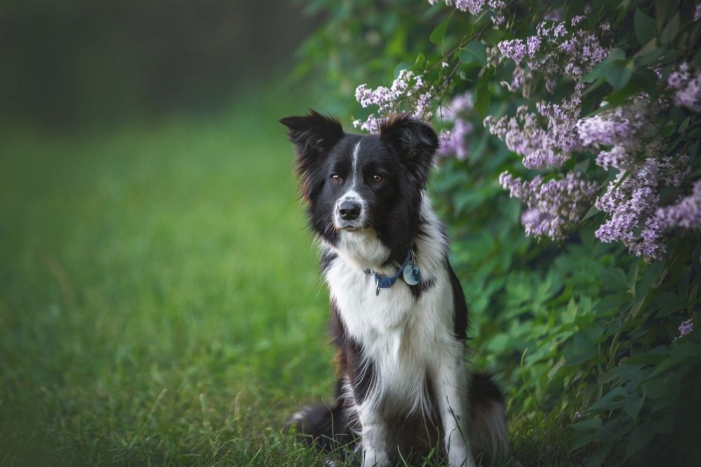 Photograph by Елизавета Романова