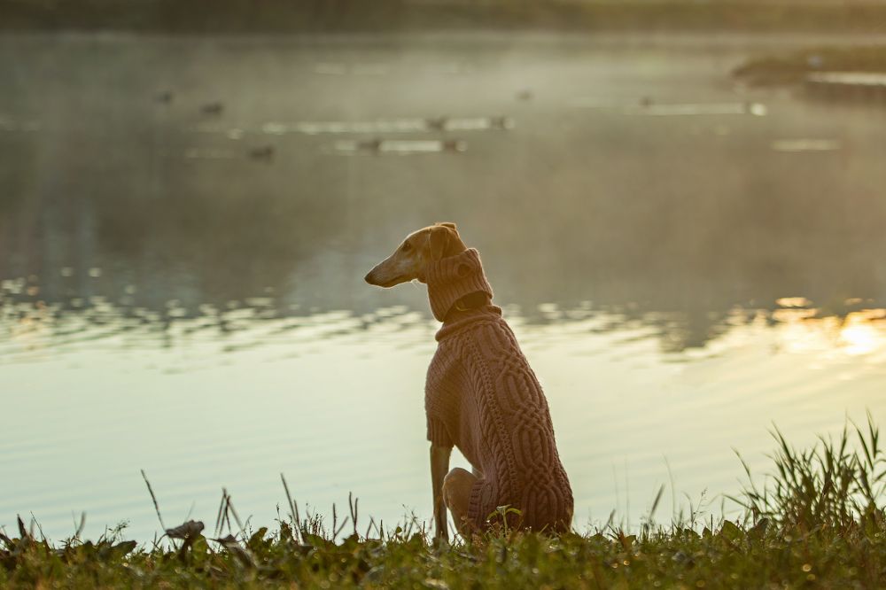 Photograph by Зубкова Юлия
