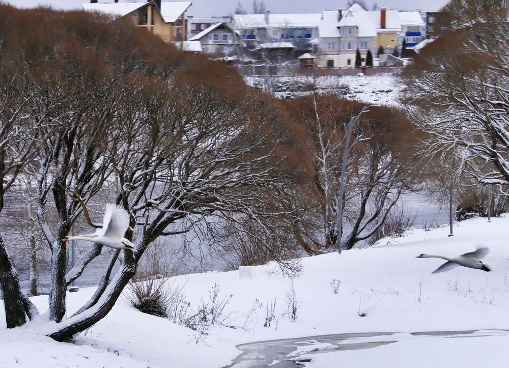 Photograph by Olga Asson