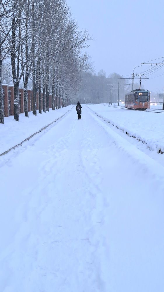 Photograph by Виктор Сёмушкин