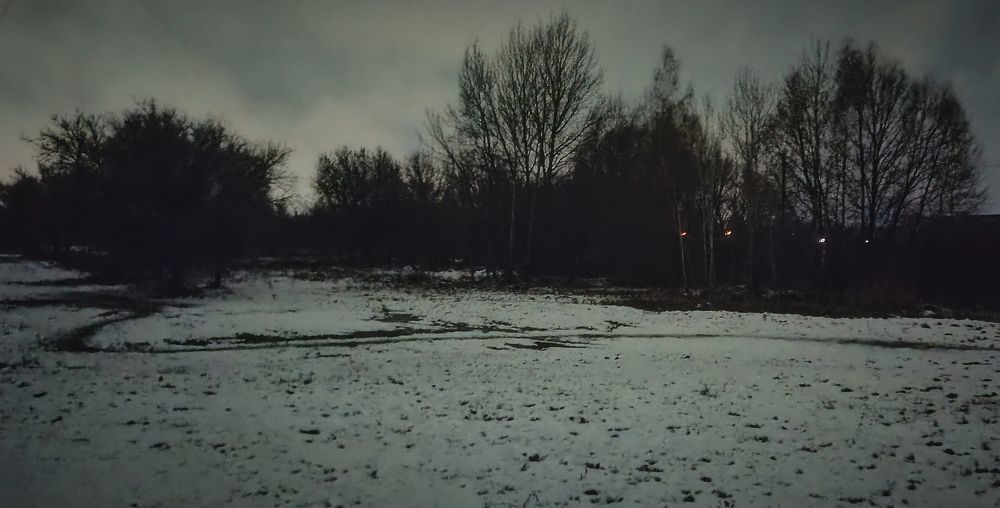 Photograph by Mishel Photographer