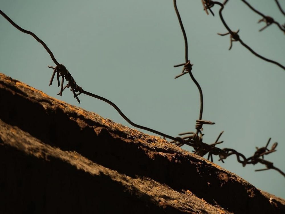 Фотография автора Роман Савоцкий