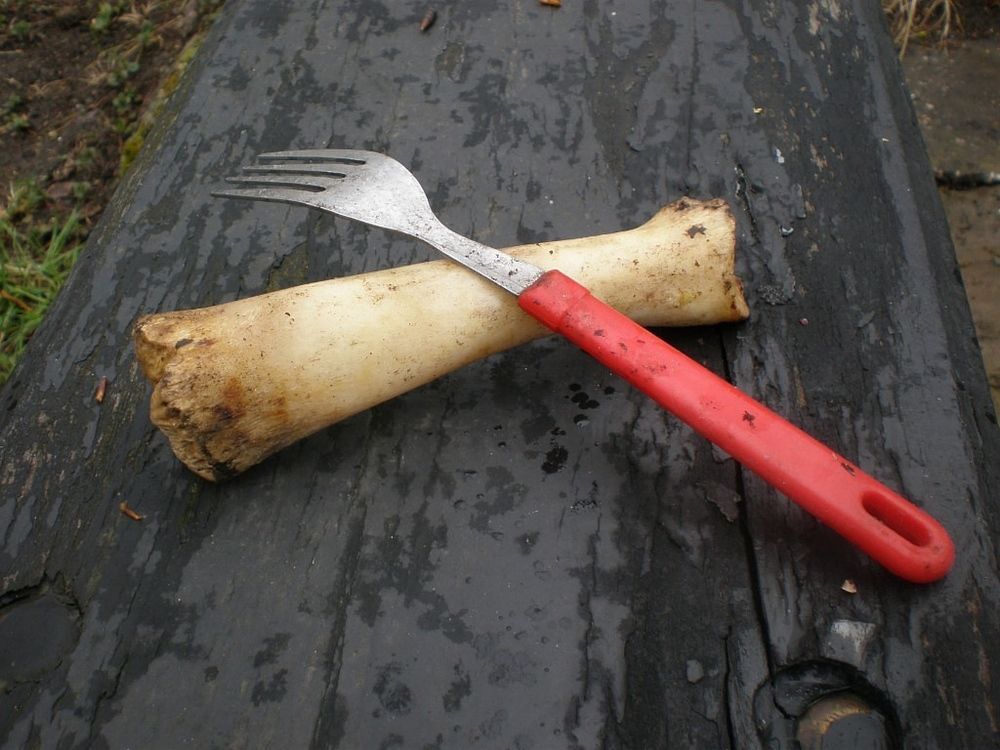 Фотография автора Роман Савоцкий