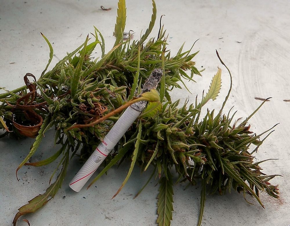 Фотография автора Роман Савоцкий