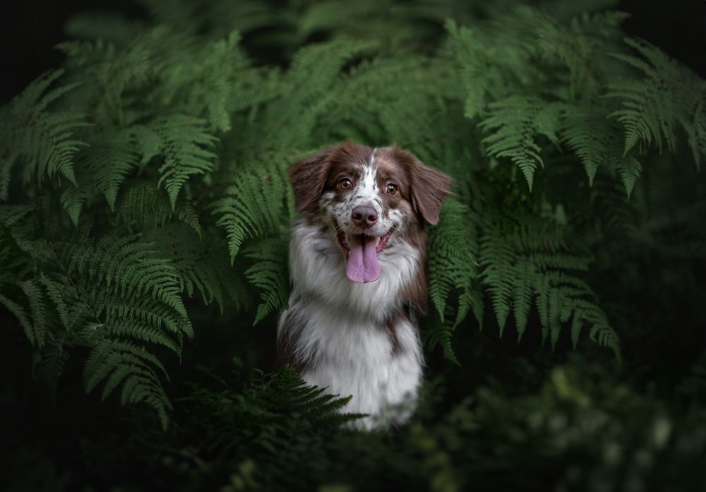 Photograph by Lucie Nermuťová