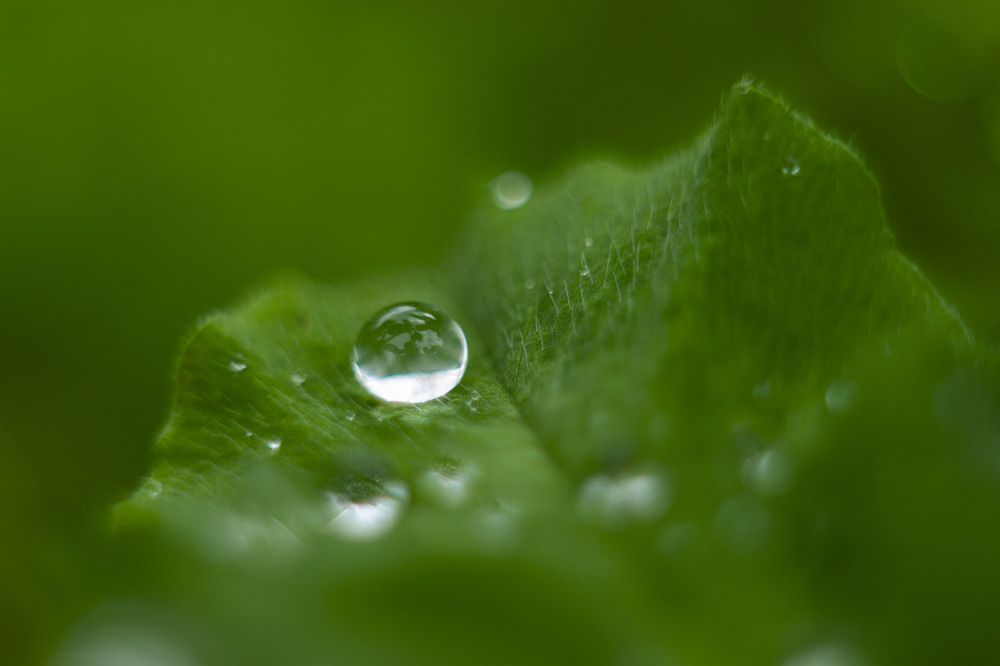 Photograph by Владислав Капанов