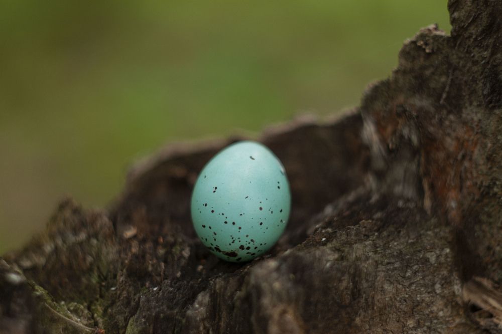 Photograph by Владислав Капанов