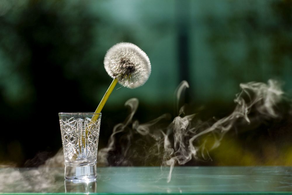 Photograph by Владислав Капанов