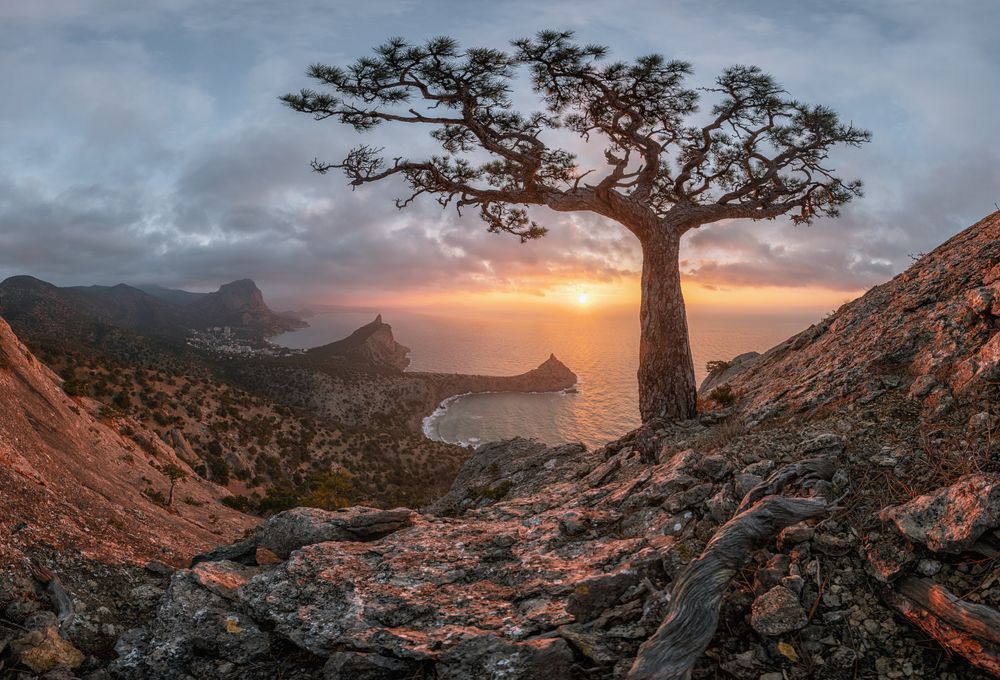 Photograph by Мысливцев Николай