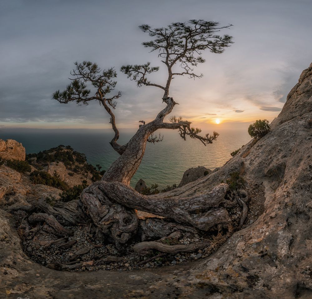 Photograph by Мысливцев Николай