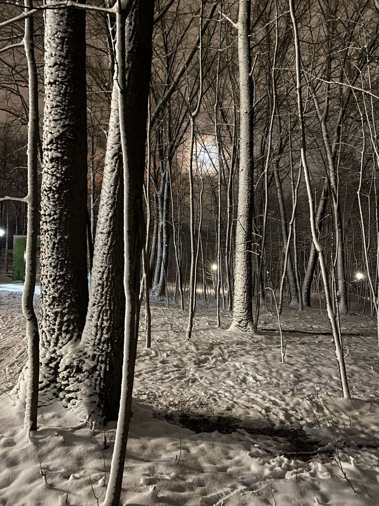 Фотография автора Андрей Москвичев