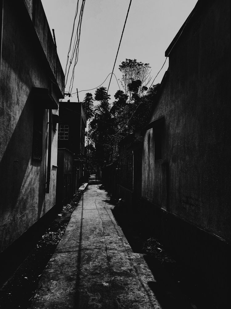 Photo #11651376
