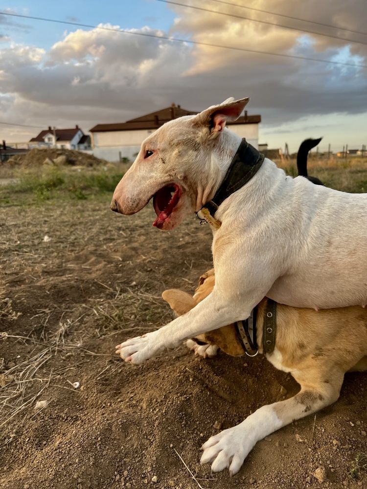 Фотография автора Мария