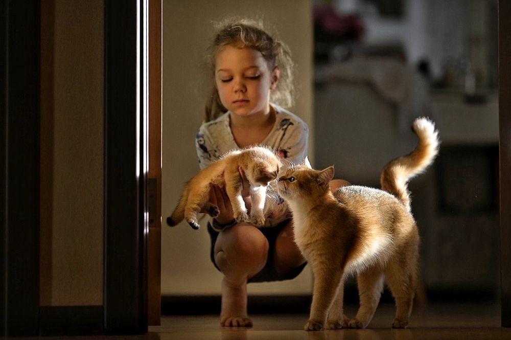 Photograph by Romanov Vyacheslav