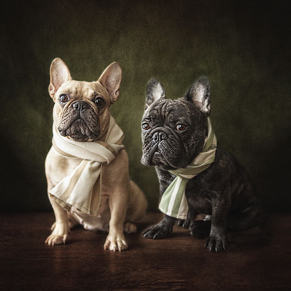 Photograph by Ольга Софронова