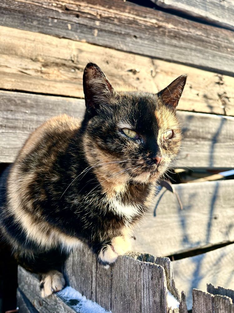 Photograph by Ирина Селиверстова