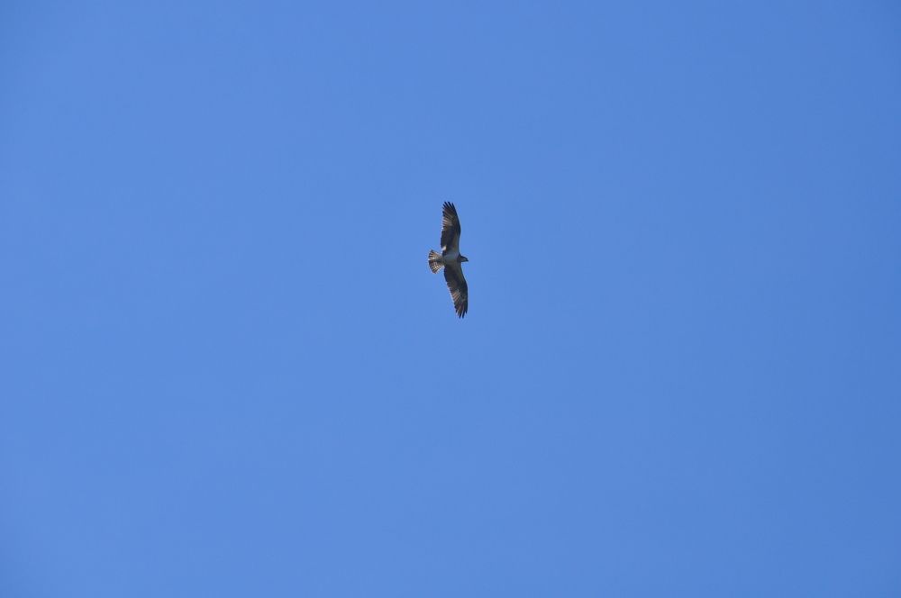 Photograph by Евгений Захаров