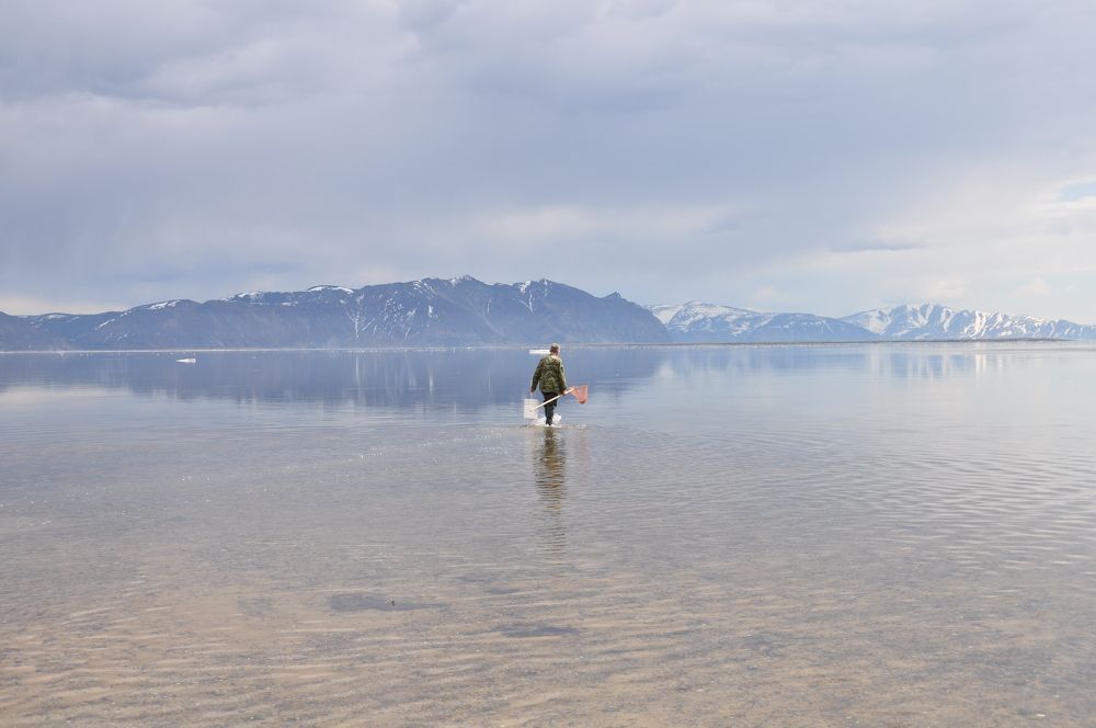 Photograph by Евгений Захаров