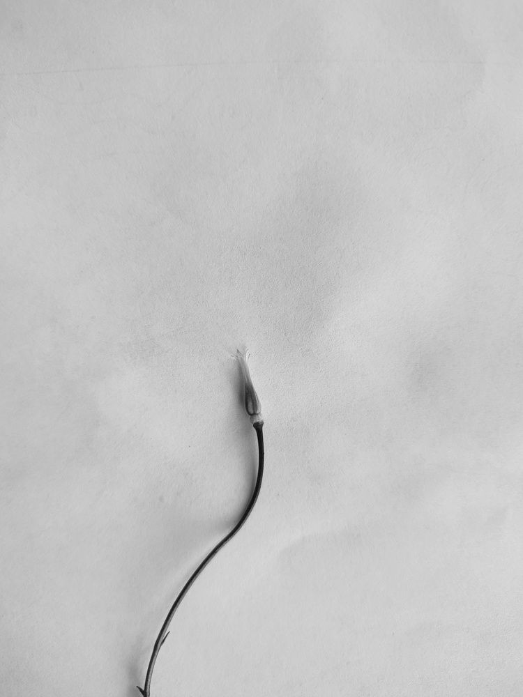 Фотография автора Татьяна Могилевец