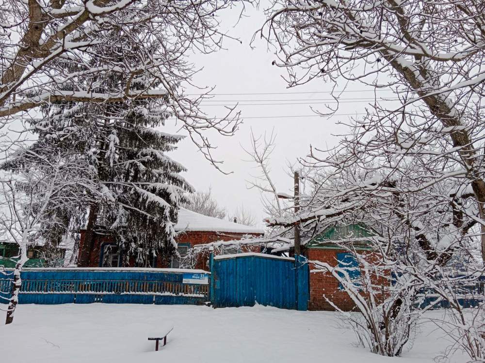 Photograph by Галина Григорьева