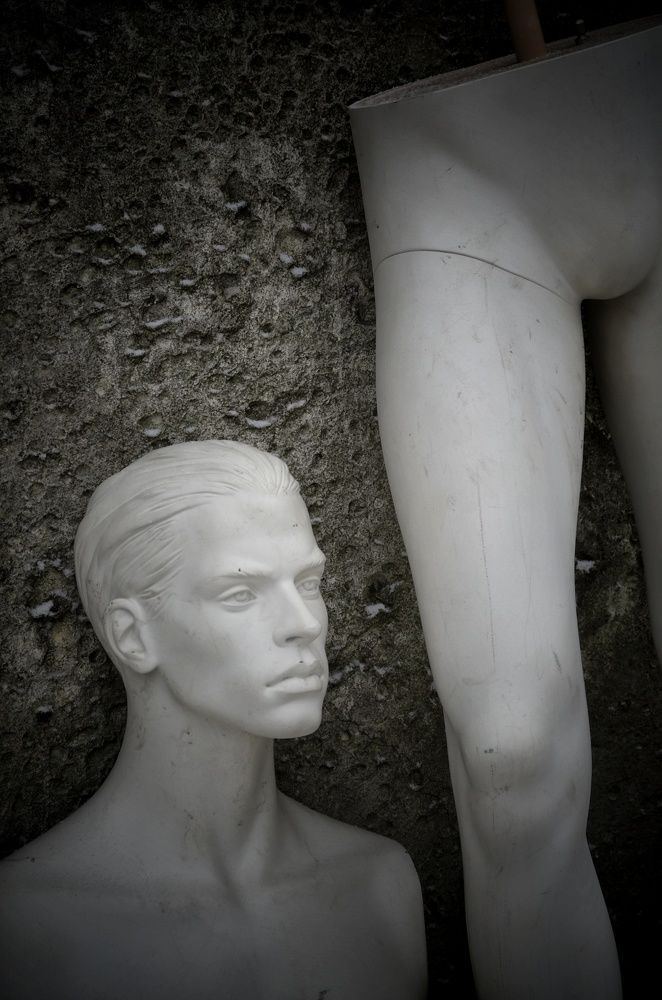 Photograph by Guseva Marina