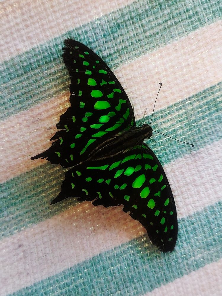 Photograph by Rutuja Shinde