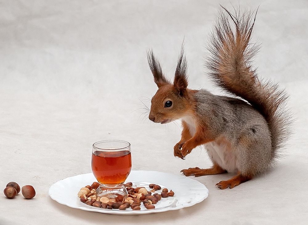 Photograph by Ольга Дядченко