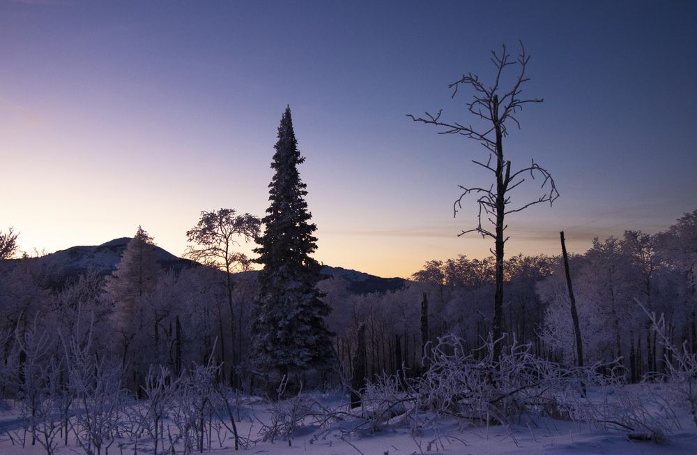 Краски зимнего вечера