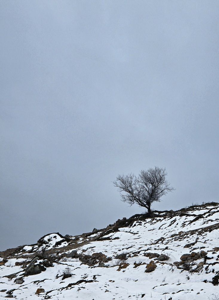 Photograph by Анастасия Онацкая
