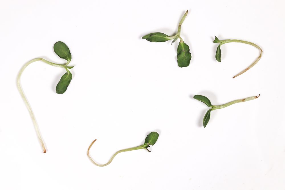 Photograph by Агарков Алексей