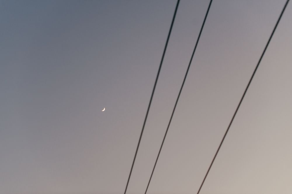 Фотография автора Рясков Иван