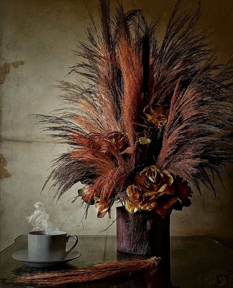 Photograph by Tajouj Hamadto