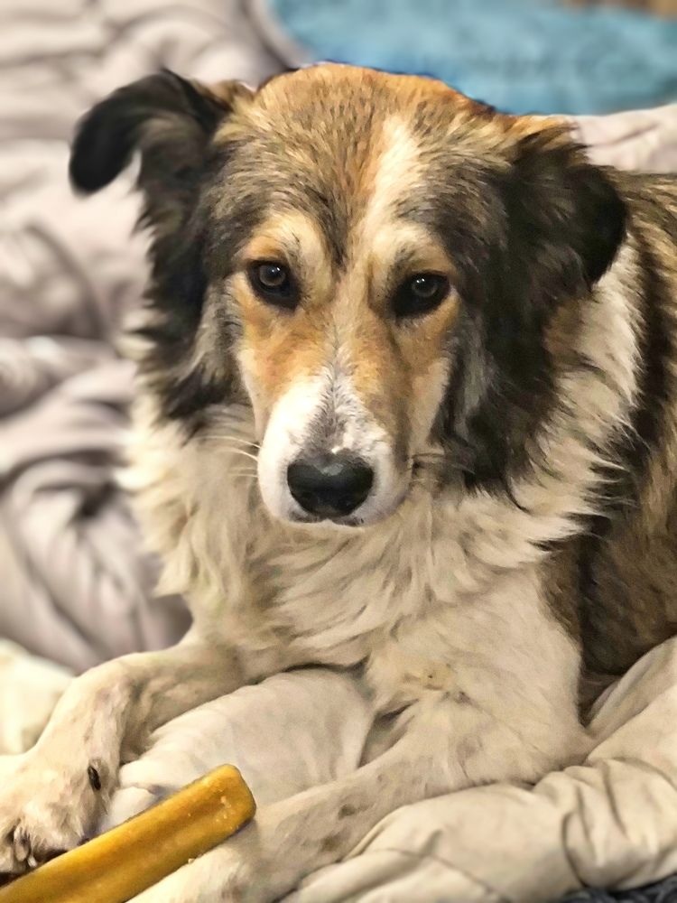 Photograph by DANIELA ROSSI